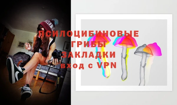 spice Елизово