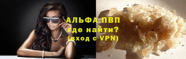 spice Елизово