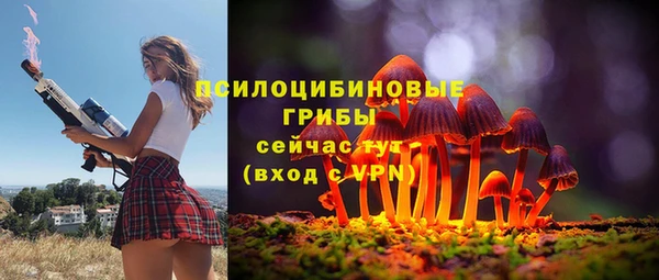 кокаин Ельня