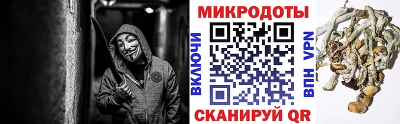 MEGA ССЫЛКА Полесск Галлюциногенные грибы Psilocybine cubensis